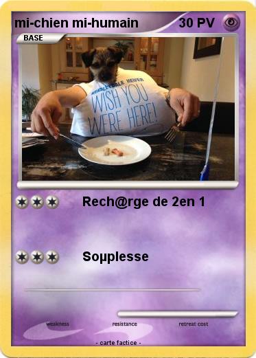 Pokemon mi-chien mi-humain