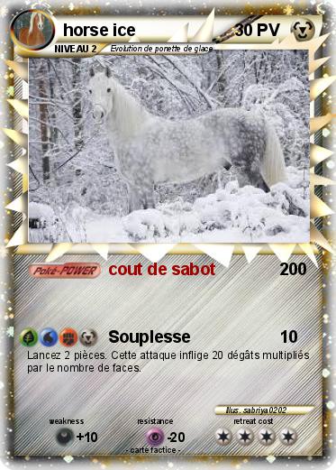 Pokemon horse ice