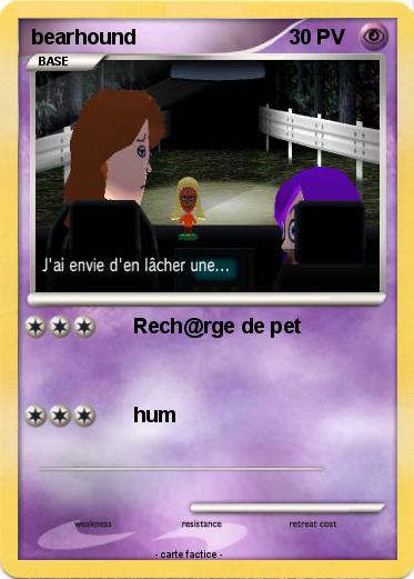 Pokemon bearhound