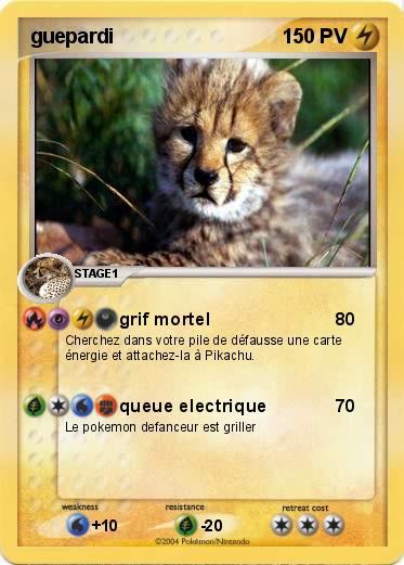 Pokemon guepardi