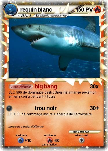 Pokemon requin blanc