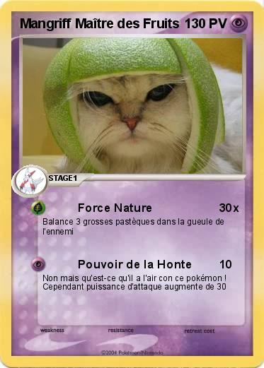 Pokemon Mangriff Maître des Fruits