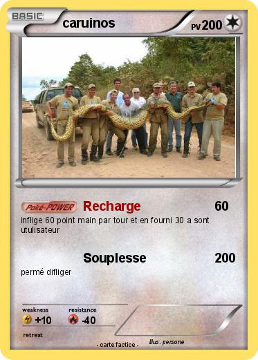 Pokemon caruinos