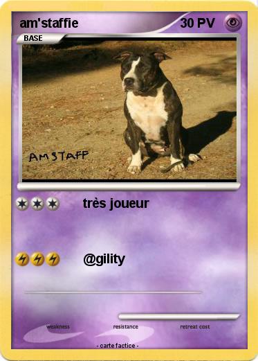 Pokemon am'staffie