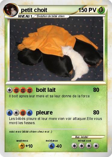 Pokemon petit choit