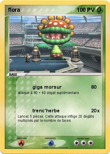 Pokemon flora