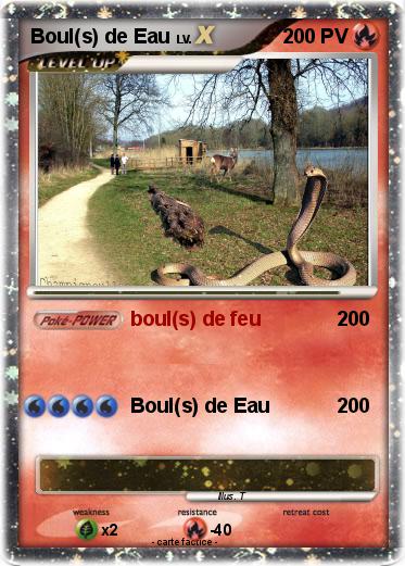 Pokemon Boul(s) de Eau