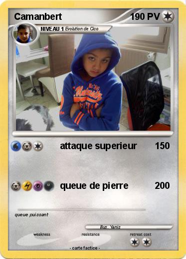 Pokemon Camanbert