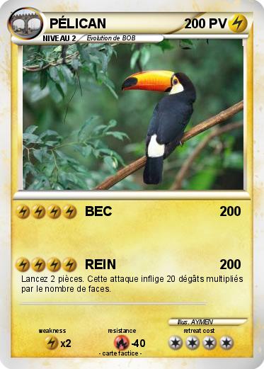 Pokemon PÉLICAN