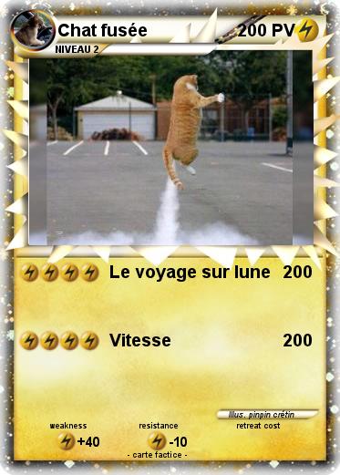 Pokemon Chat fusée