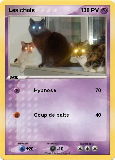 Pokemon Les chats
