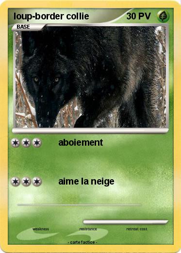 Pokemon loup-border collie