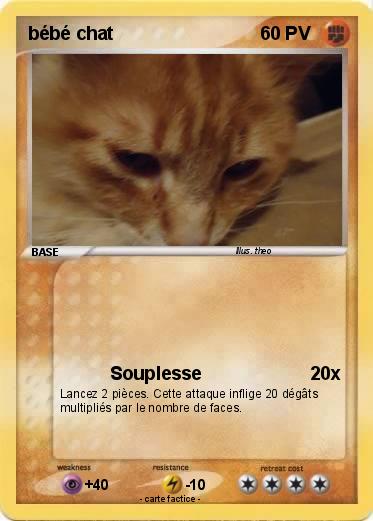 Pokemon bébé chat