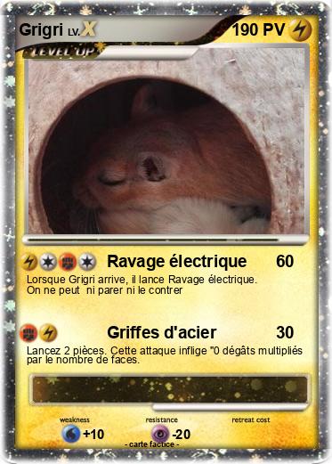 Pokemon Grigri
