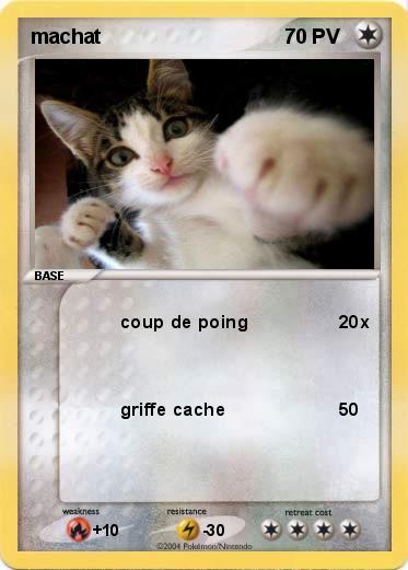 Pokemon machat