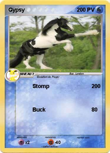 Pokemon Gypsy