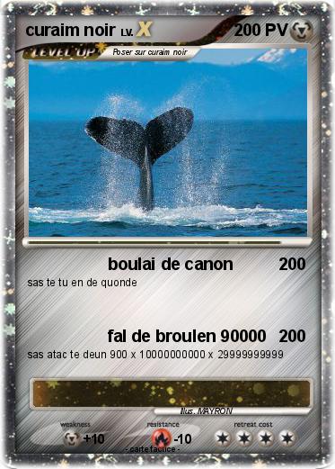 Pokemon curaim noir