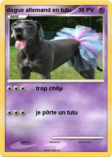 Pokemon dogue allemand en tutu