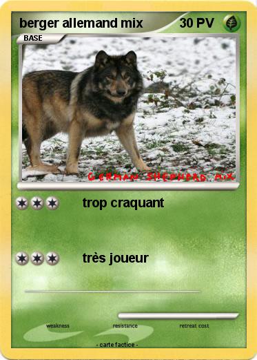 Pokemon berger allemand mix