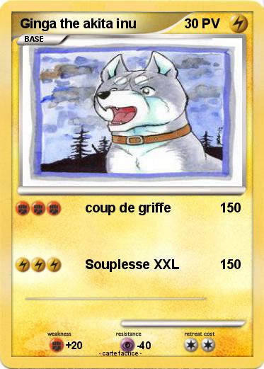 Pokemon Ginga the akita inu