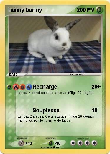 Pokemon hunny bunny
