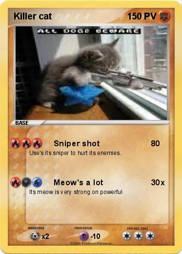 Pokemon Killer cat