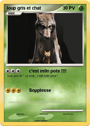 Pokemon loup gris et chat