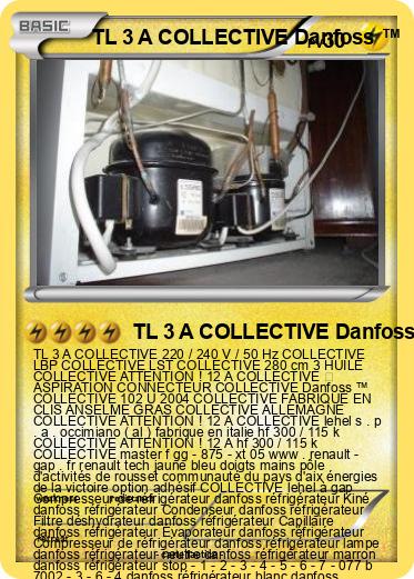 Pokemon TL 3 A COLLECTIVE Danfoss ™