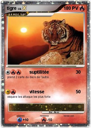 Pokemon tigre