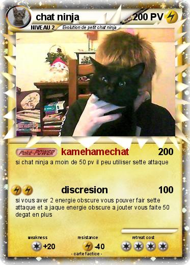 Pokemon chat ninja