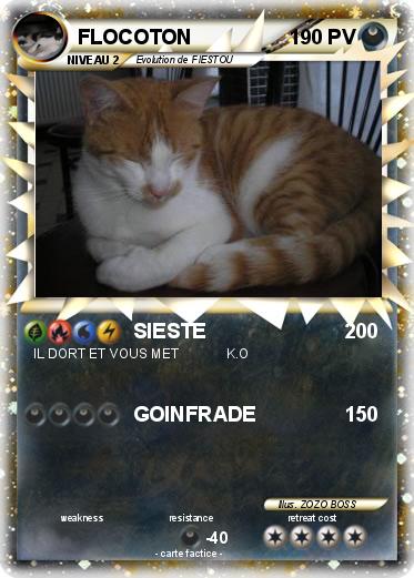 Pokemon FLOCOTON