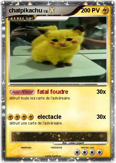 Pokemon chatpikachu