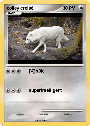 Pokemon colley croisé