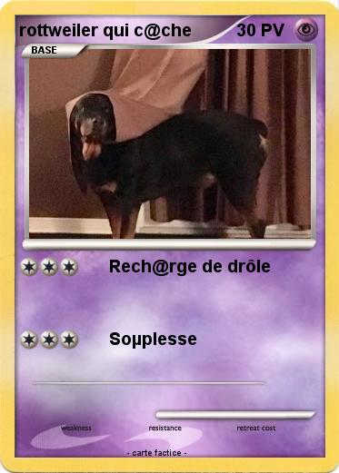 Pokemon rottweiler qui c@che