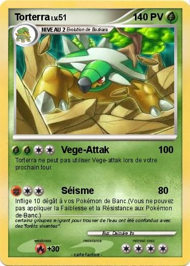 Pokemon Torterra