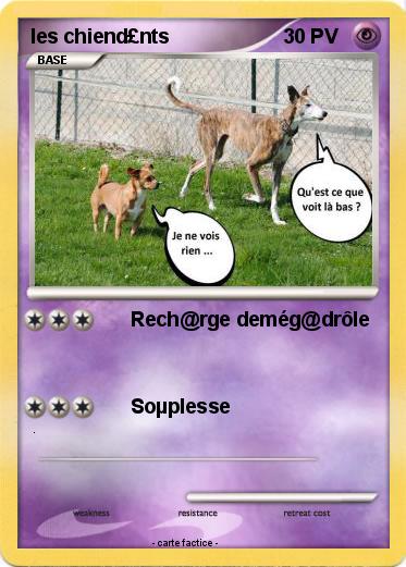 Pokemon les chiend£nts