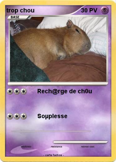 Pokemon trop chou