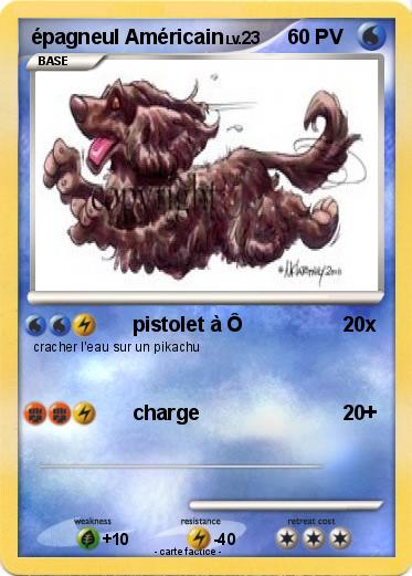 Pokemon épagneul Américain