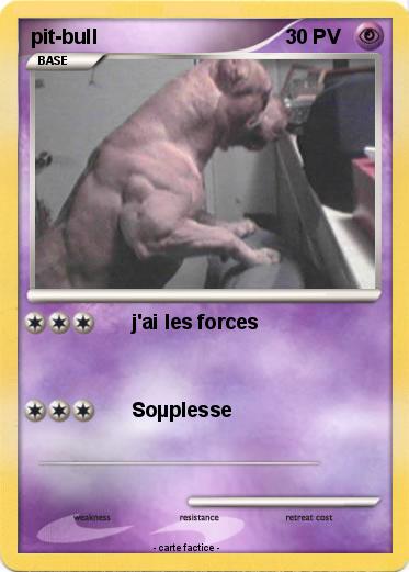 Pokemon pit-bull