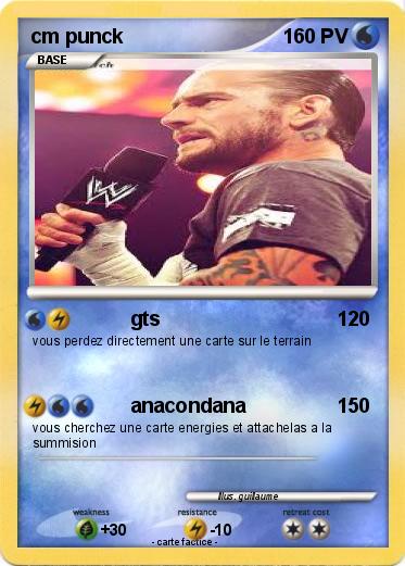 Pokemon cm punck