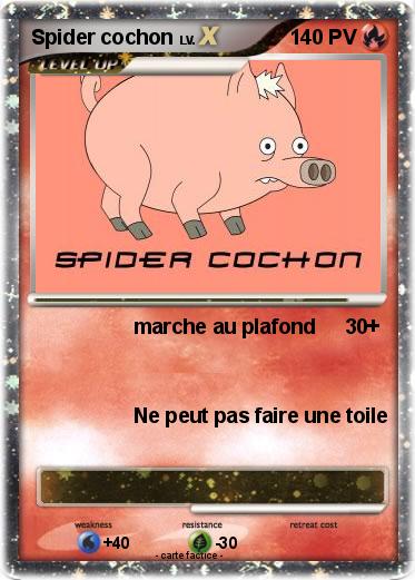 Pokemon Spider cochon