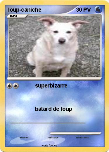 Pokemon loup-caniche