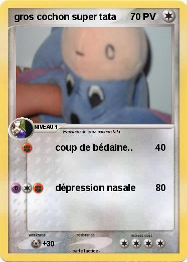 Pokemon gros cochon super tata