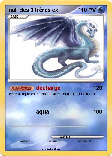 Pokemon nali des 3 frères ex