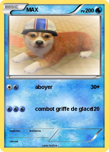 Pokemon MAX