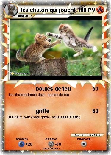 Pokemon les chaton qui jouent
