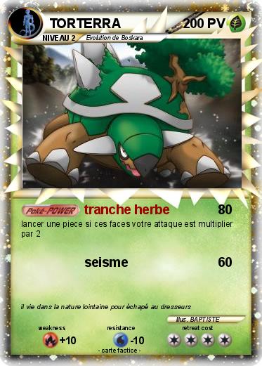 Pokemon TORTERRA