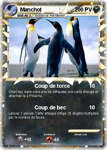 Pokemon Manchot