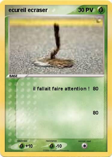 Pokemon ecureil ecraser