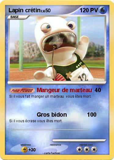 Pokemon Lapin crétin